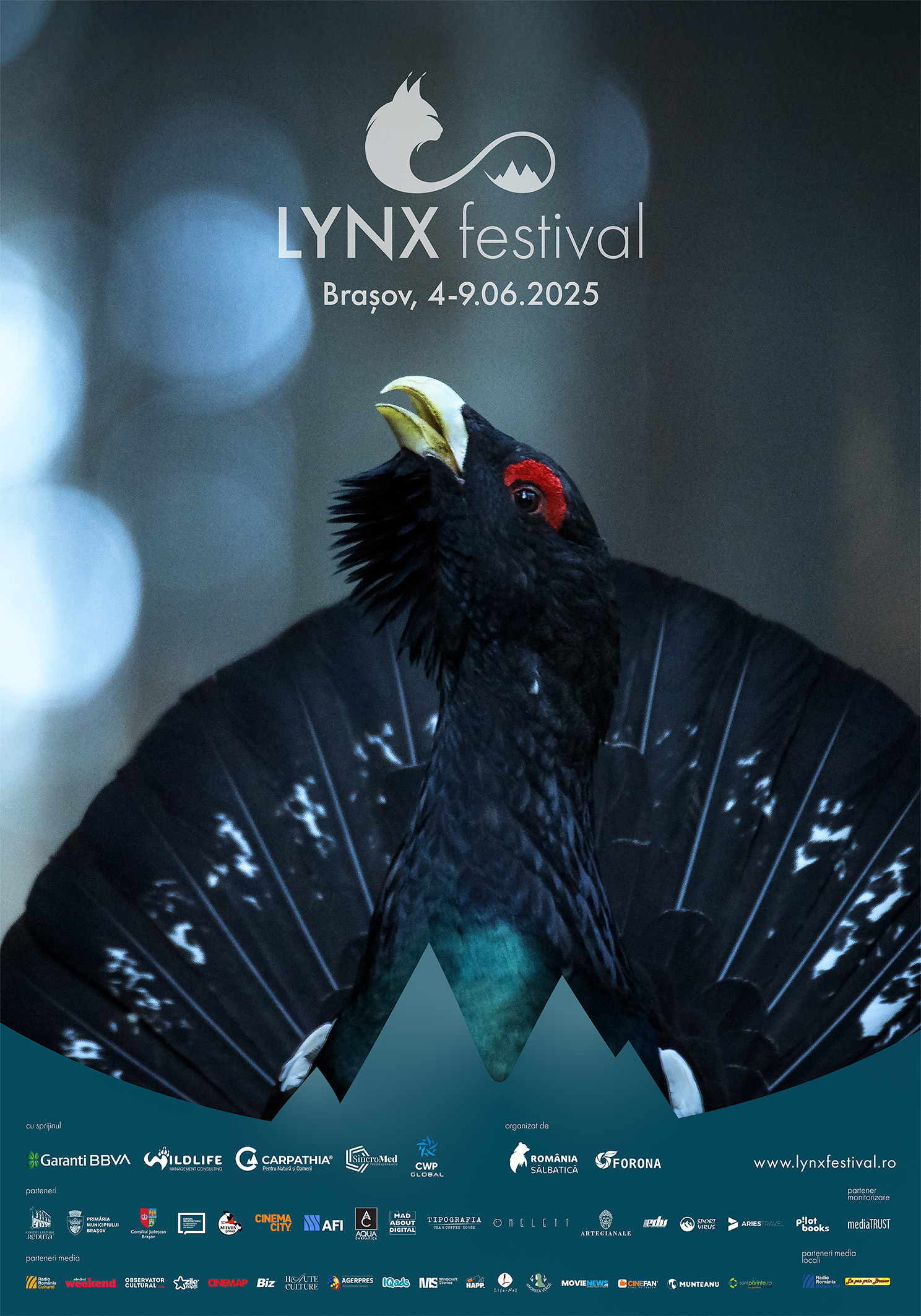 Lynx Festival 2025